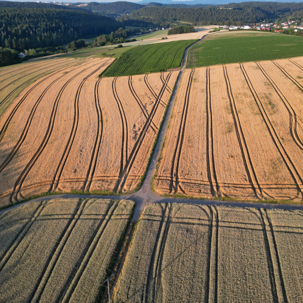 Landwirtschaft