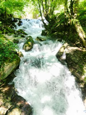 Wasserfall im grün leuchtendem Wald